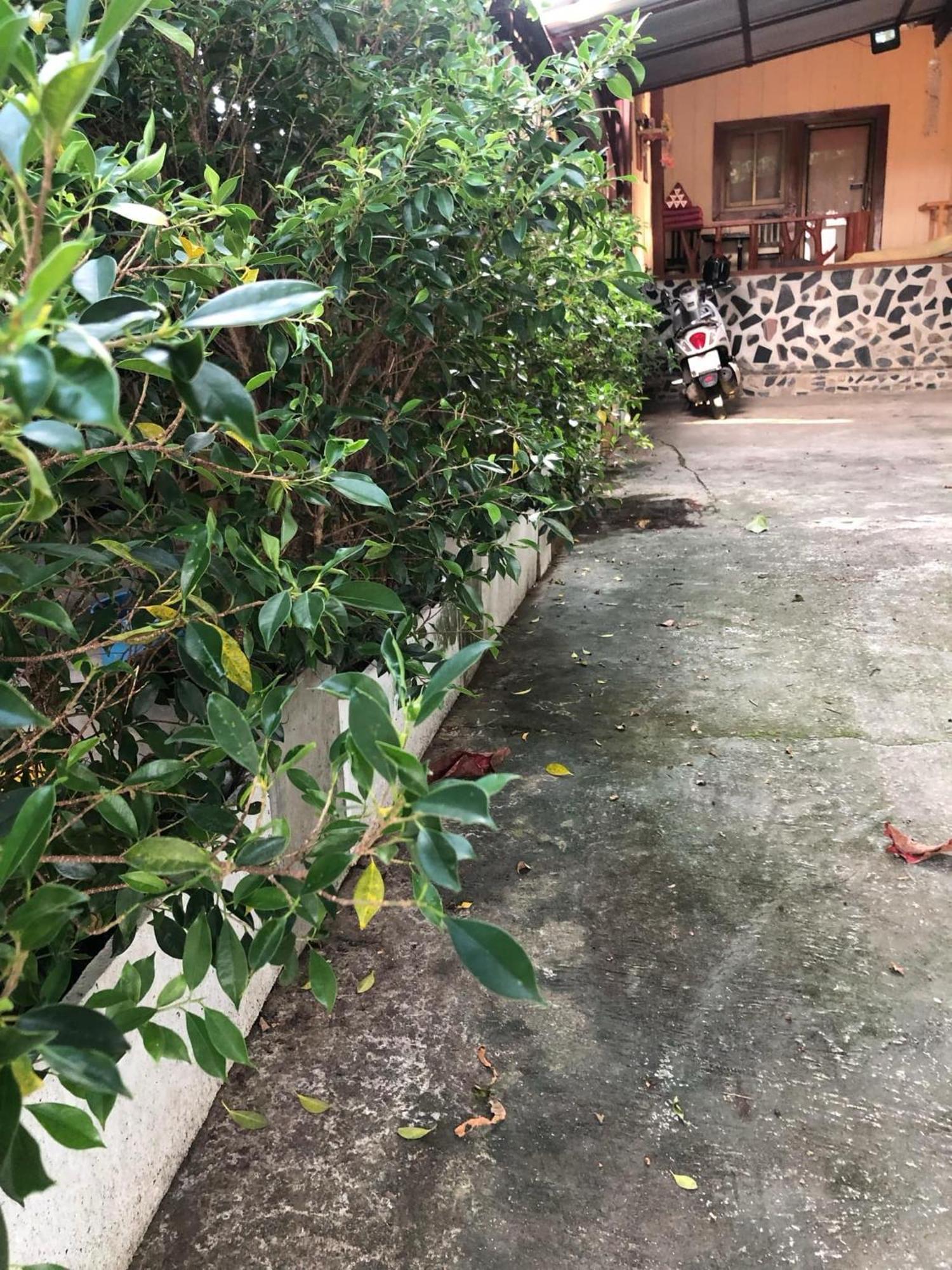 Lungsonhouse Pai Villa Exterior photo